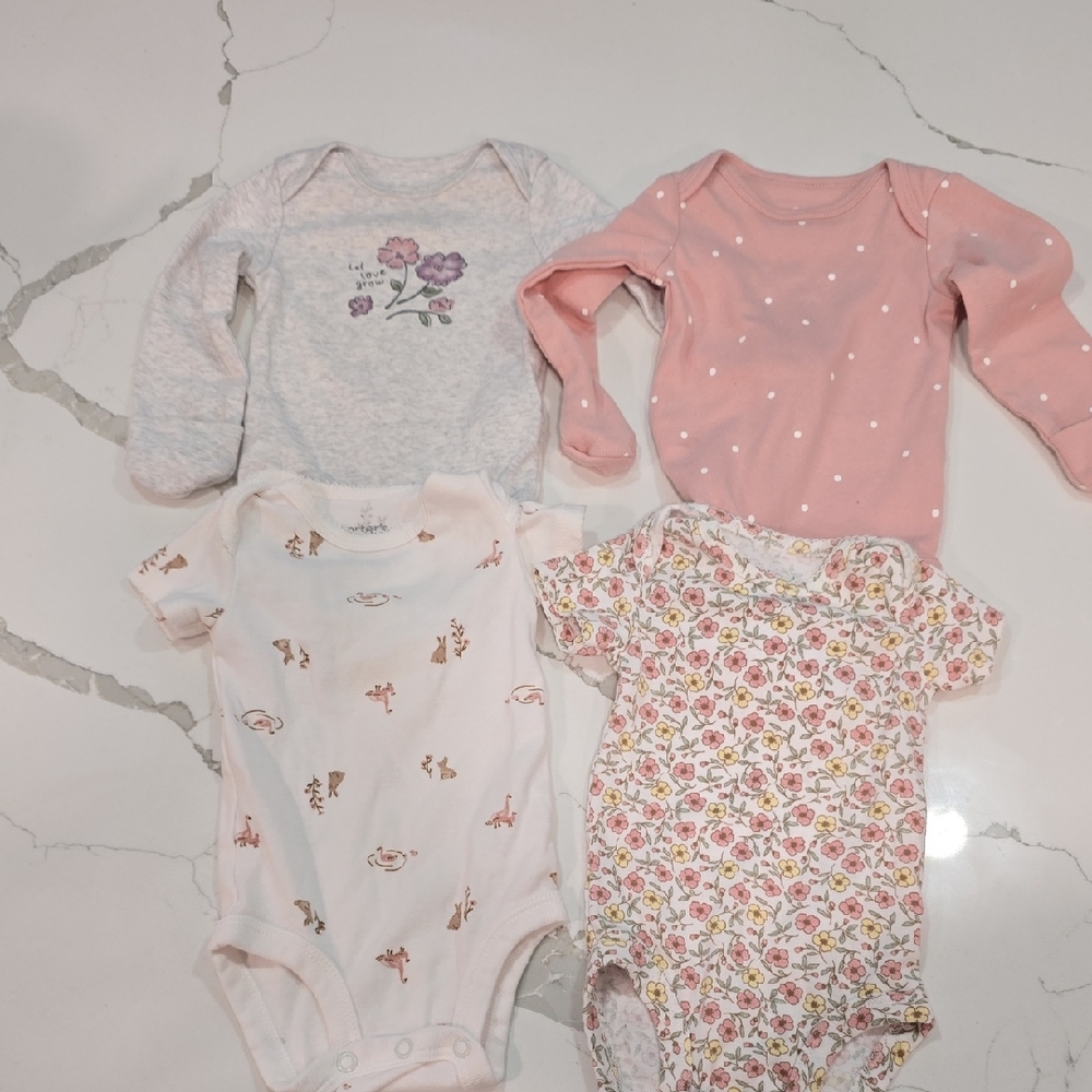Carter's Pink and Floral Bodysuit Set